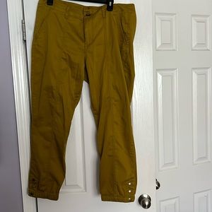 Cabi the Tracker joggers